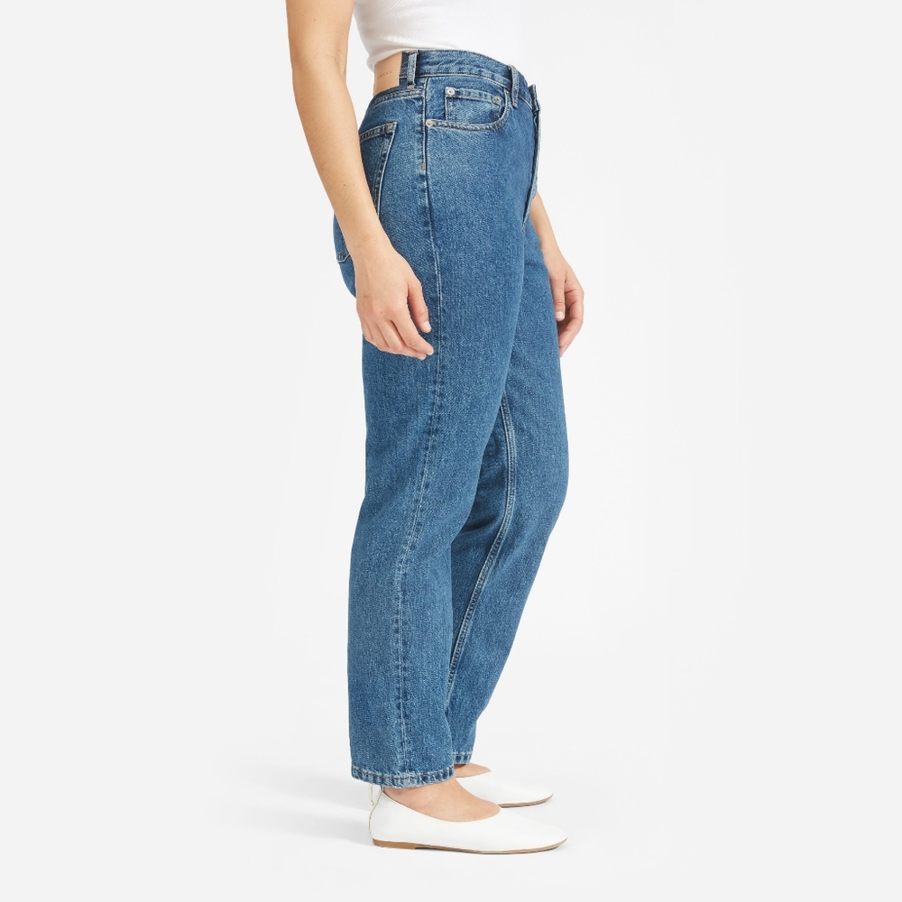 Everlane The 90's Cheeky High Rise Regular Jeans